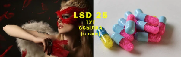 прущие грибы Баксан