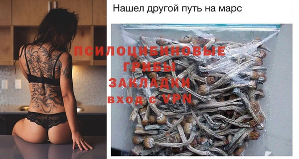 трава Аркадак