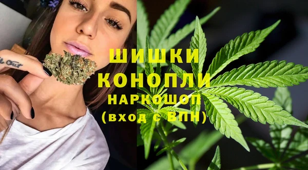 трава Аркадак