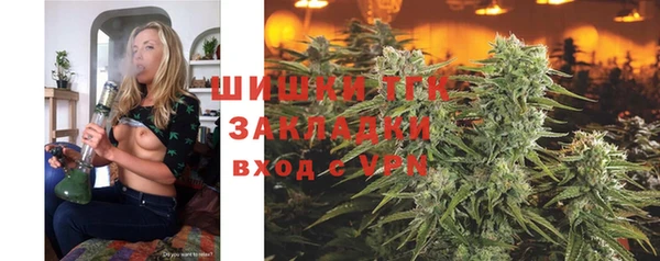 трава Аркадак