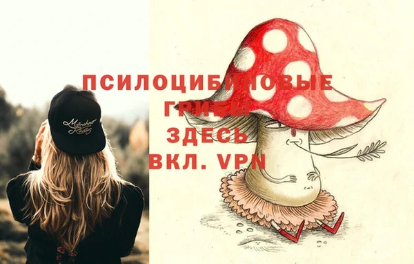 молекула духа Армянск