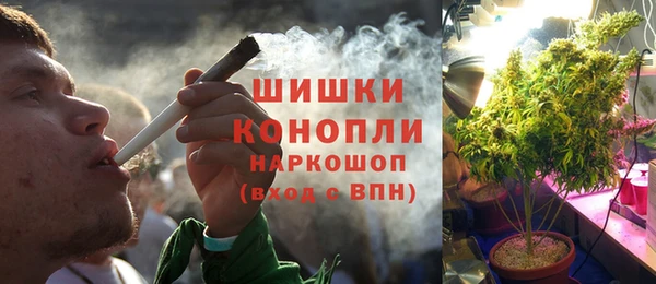 прущие грибы Баксан