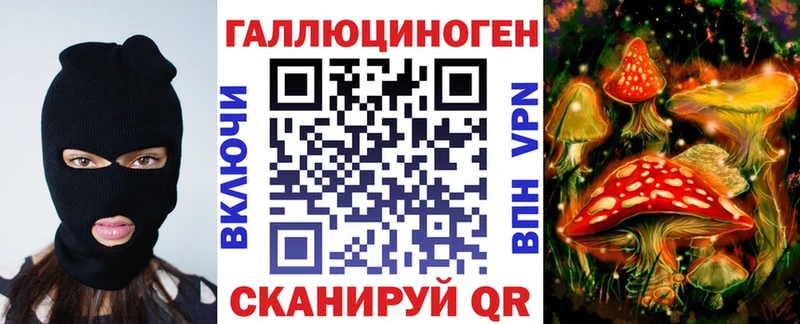 Псилоцибиновые грибы Psilocybine cubensis  Балей 